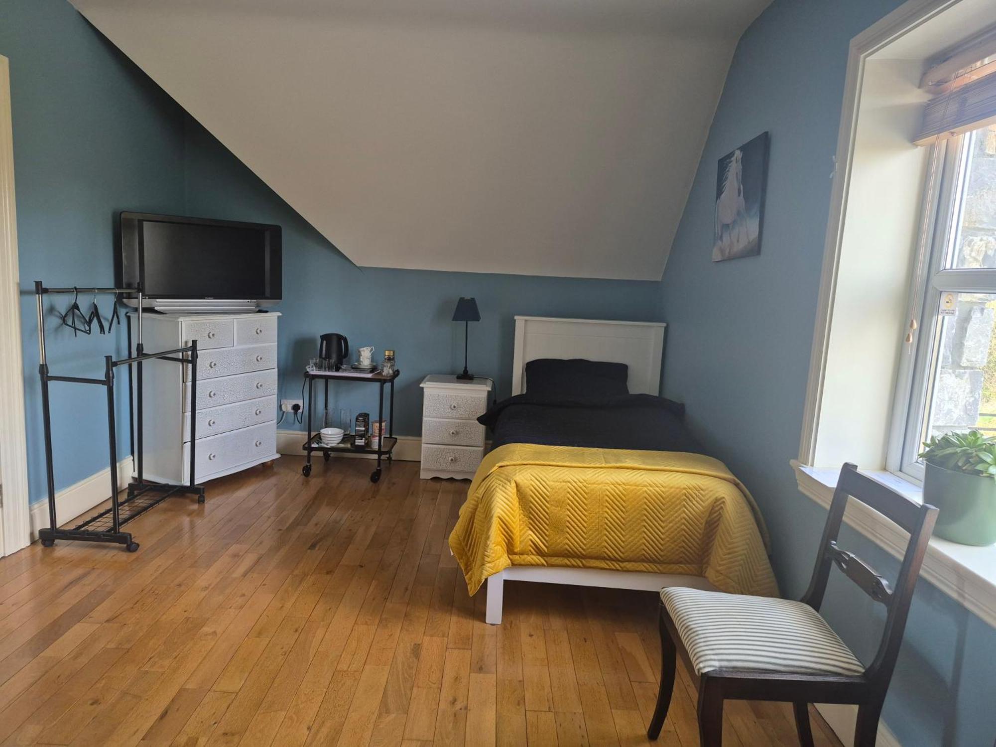 Ballinasloe Guest House In The Heart Of The Country Esterno foto